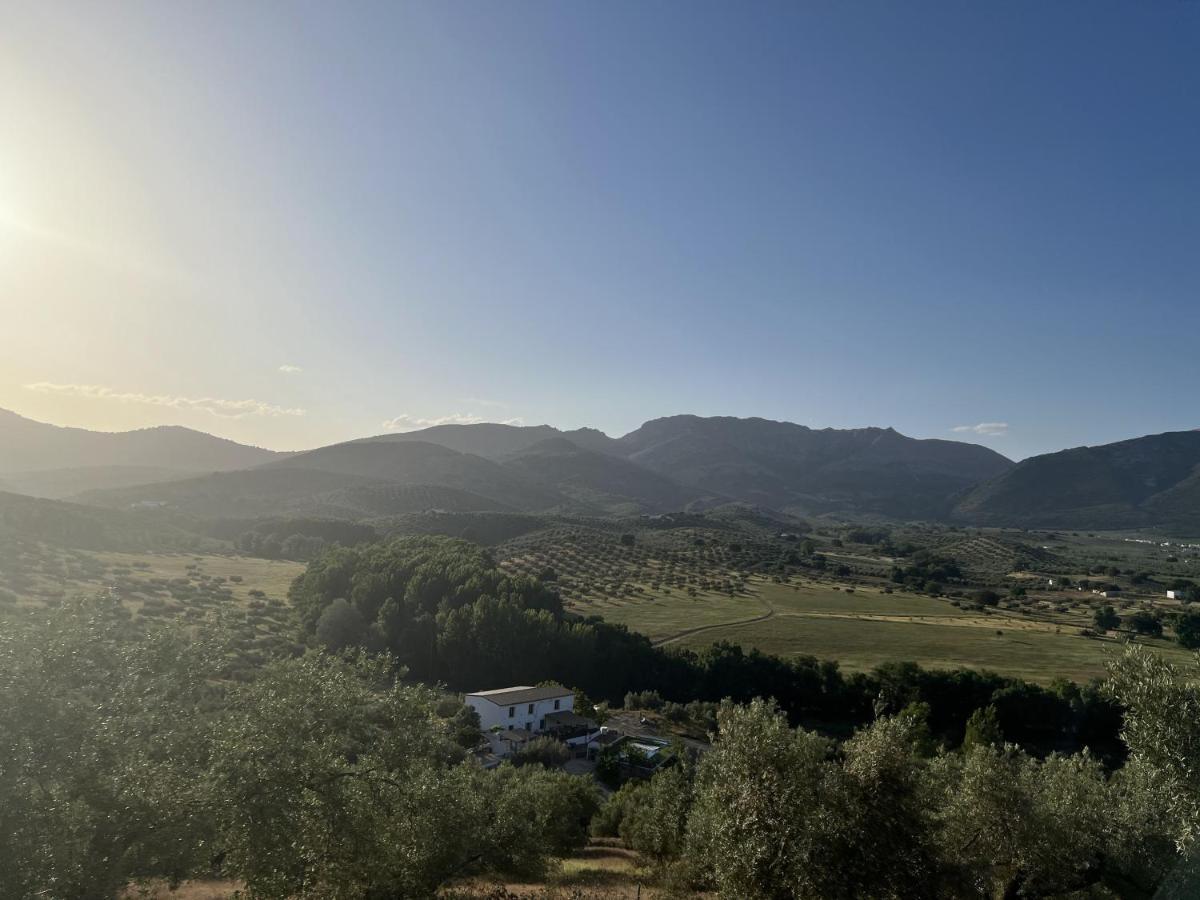 Alojamiento Rural Cortijo Alameda, Las Lagunillas ปรีเอโก เด กอร์โดบา ภายนอก รูปภาพ